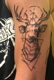 复古鹿头纹身男生手臂上复古鹿头纹身图片