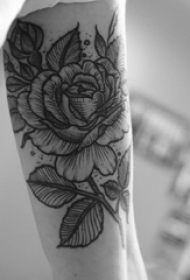 女生手臂上黑色点刺简单线条植物花纹身图片