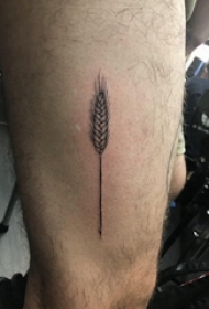 男生大腿上黑色点刺简单线条植物稻穗纹身图片