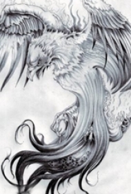 黑灰素描创意霸气展翅老鹰经典纹身手稿