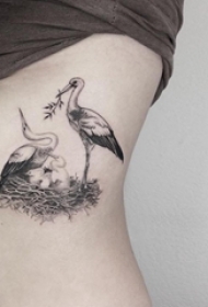 女生侧腰上黑灰素描点刺技巧创意鹤动物纹身图片