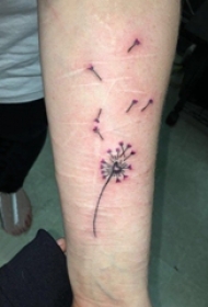 女生手臂上黑色点刺简单线条植物蒲公英纹身设计