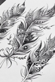 黑灰素描创意唯美花纹羽毛纹身手稿