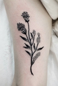 女生大腿上黑色线条素描文艺唯美花朵纹身图片