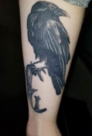 男生手臂上黑色点刺简单线条小动物乌鸦纹身图片