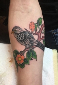 女生手臂上彩绘水彩素描文艺可爱小鸟动物纹身图片