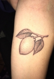 男生手臂上黑灰点刺简单线条植物柠檬纹身图片