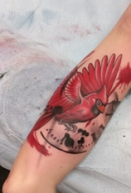 男生手臂上彩绘水彩素描文艺可爱小鸟纹身图片