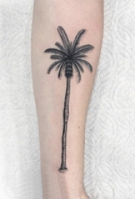 女生小腿上黑色点刺简单抽象线条植物椰树纹身图片