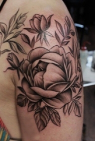 女生手臂上黑灰素描点刺技巧创意文艺别致花朵纹身图片