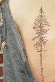 女生侧腰上黑灰点刺技巧简单线条植物大树纹身图片