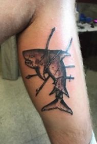 男生小腿上黑灰素描点刺技巧鲨鱼动物纹身图片