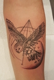 男生手臂上黑色素描创意几何元素小鸟纹身图片
