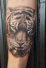 男生手臂上彩绘水彩素描创意霸气老虎头纹身图片