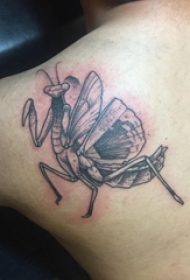 男生后肩上黑色点刺简单线条小动物螳螂纹身图片