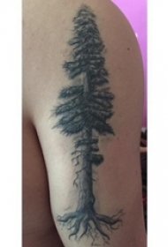 男生大臂上黑色点刺简单线条植物大树纹身图片