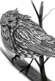 黑灰素描创意文艺精美花纹小鸟纹身手稿