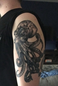 黑色章鱼纹身男生手臂上黑色章鱼动物纹身图片