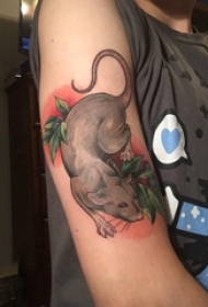 女生手臂上彩绘渐变简单线条植物叶子和老鼠纹身图片