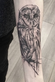 百乐动物纹身 男生手臂上黑色的猫头鹰纹身图片