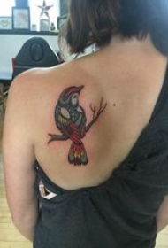 纹身鸟 女生后背上彩色的小鸟纹身图片