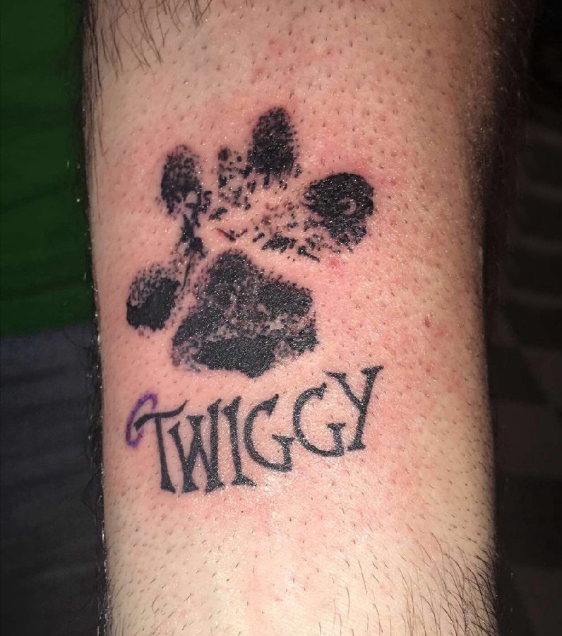 点击大图看下一张：狗爪纹身 男生手臂上狗爪和英文纹身图片