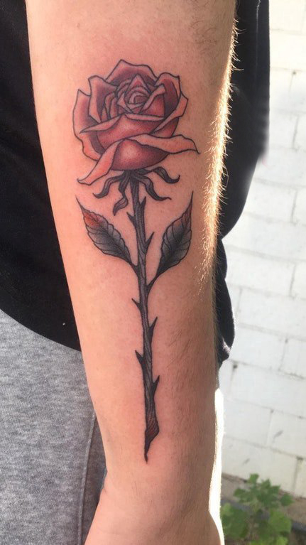 点击大图看下一张：玫瑰小清新纹身 女生手臂上彩色的玫瑰花纹身图片