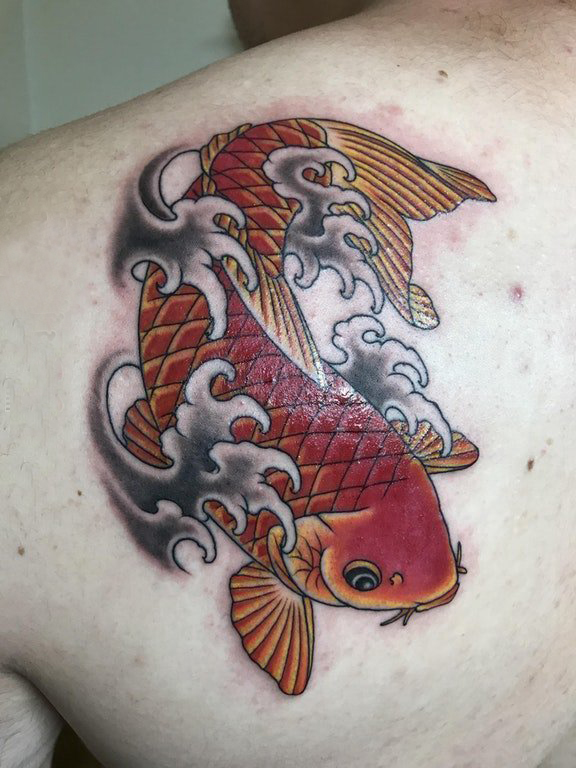 点击大图看下一张：纹身红鲤鱼 男生后背上彩色的鲤鱼纹身图片