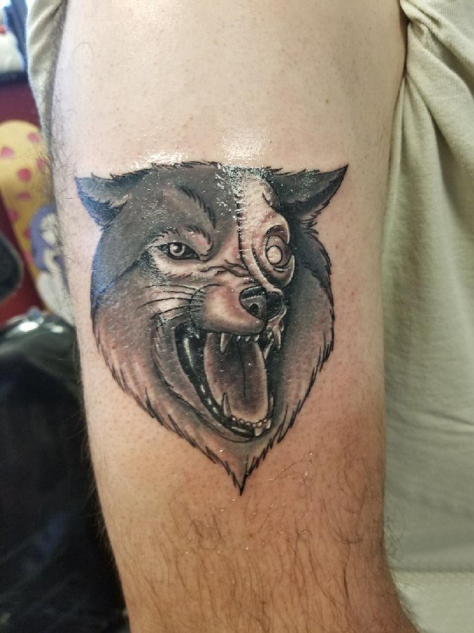 点击大图看下一张：纹身狼头 男生手臂上狼头纹身图片