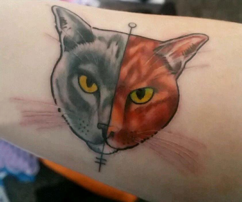 点击大图看下一张：小猫咪纹身 男生手臂上彩色的小猫咪纹身图片