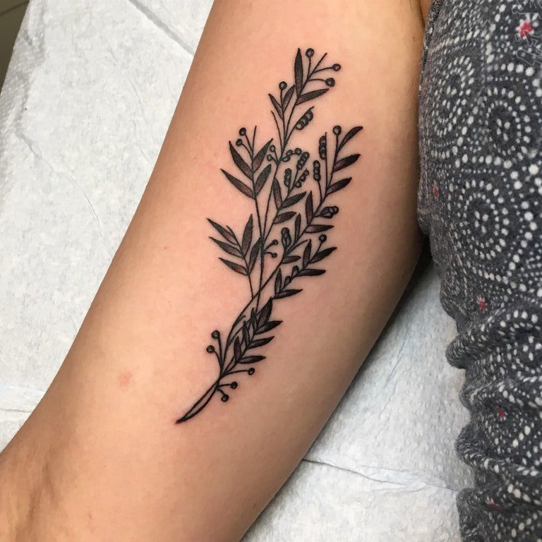 点击大图看下一张：小清新植物纹身 女生手臂上黑色的植物纹身图片