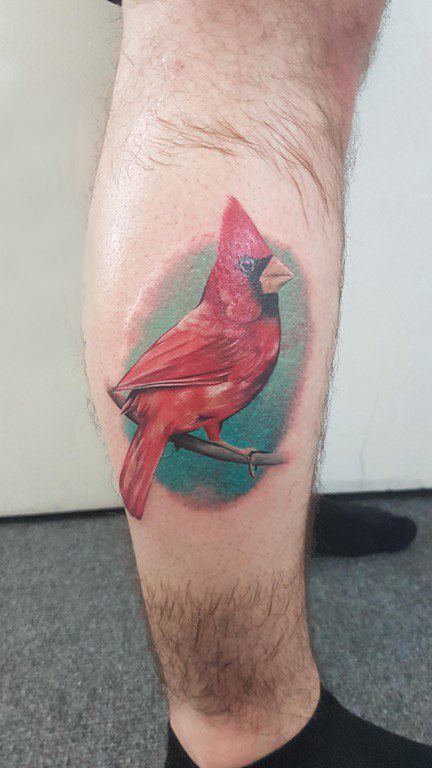 点击大图看下一张：纹身鸟 男生小腿上彩色的鸟纹身图片