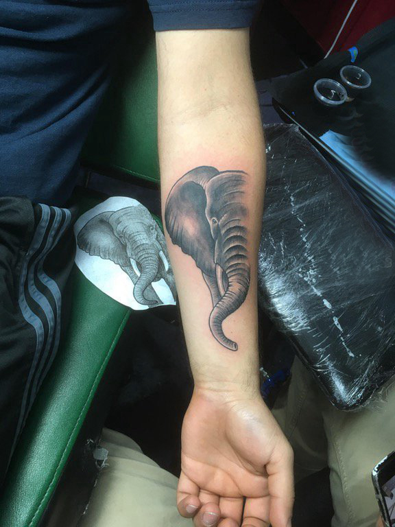 点击大图看下一张：象纹身 男生手臂上黑色的大象纹身图片