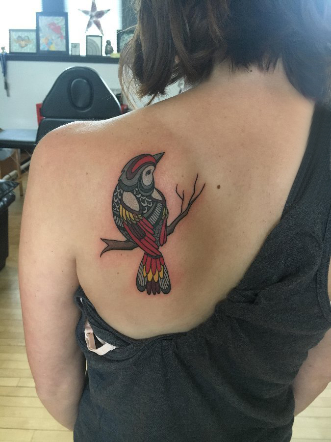 点击大图看下一张：纹身鸟 女生后背上彩色的小鸟纹身图片