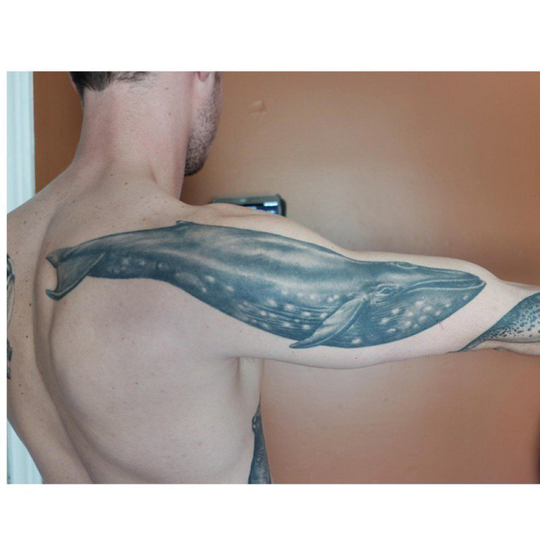 点击大图看下一张：纹身鲸鱼 男生大臂上黑色的鲸鱼纹身图片