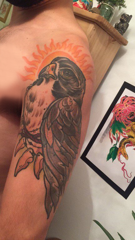 点击大图看下一张：彩色老鹰纹身 男生手臂上彩色老鹰纹身霸气图片