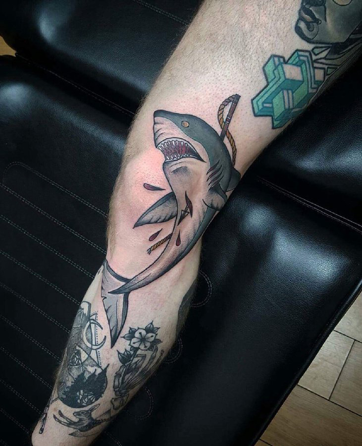 点击大图看下一张：鲨鱼纹身 男生膝盖上彩绘纹身鲨鱼纹身图片