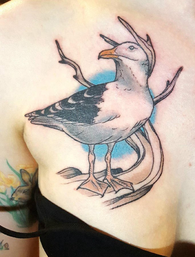 点击大图看下一张：纹身海鸥 女生胸部彩色的海鸥纹身图片
