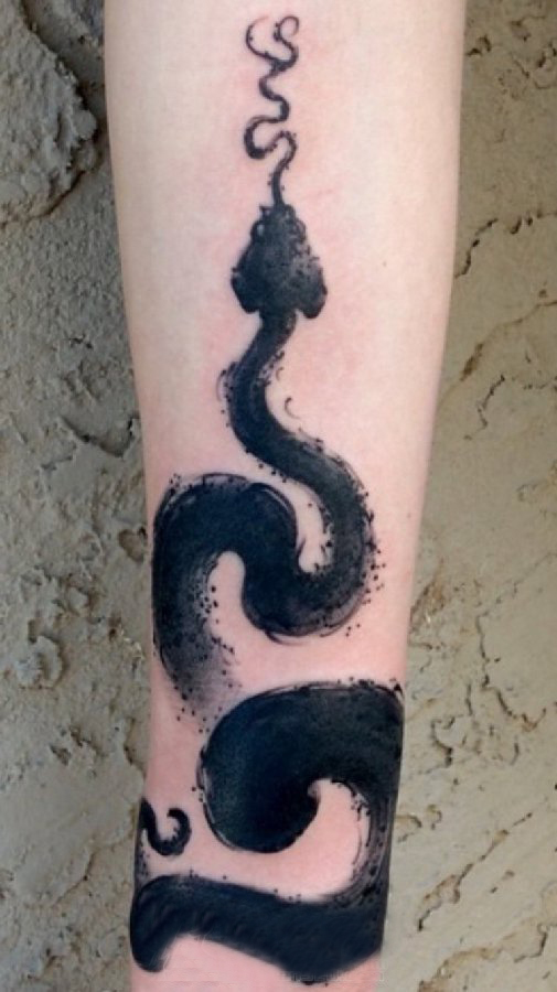 点击大图看下一张：蛇纹身 女生手臂上蛇纹身水墨图片