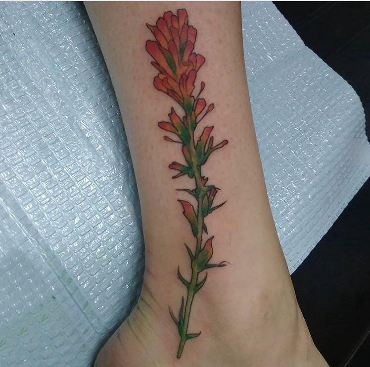 点击大图看下一张：植物纹身 女生小腿上彩色的火焰草植物纹身图片