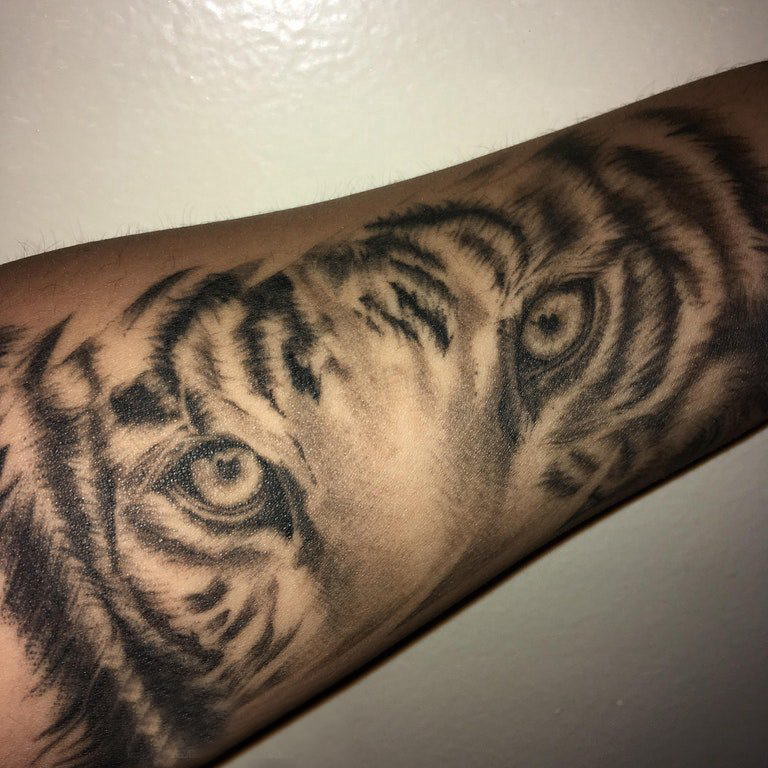 点击大图看下一张：百乐动物纹身 男生手臂上黑色的老虎纹身图片