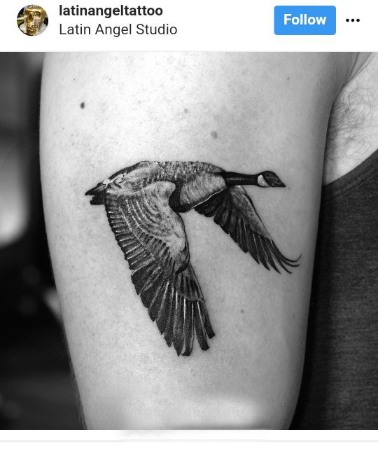 点击大图看下一张：高清大雁纹身 男生手臂上黑色的大雁纹身图片