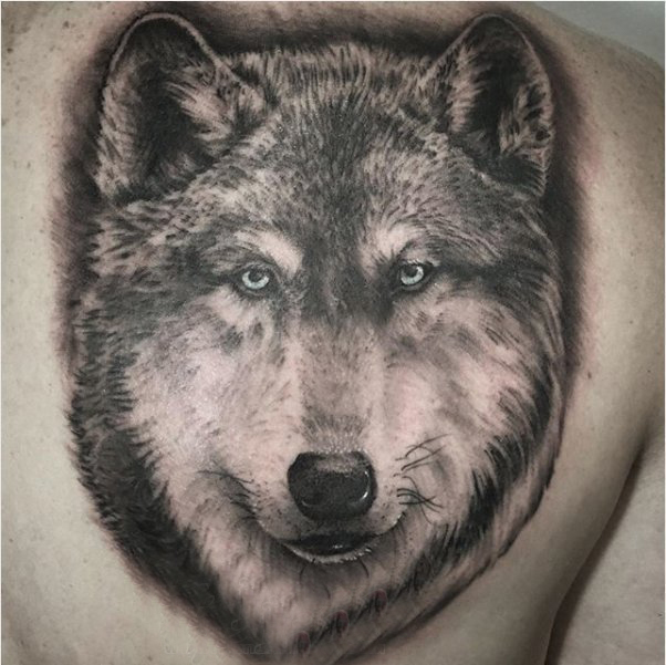 点击大图看下一张：后背纹身男 男生后背黑色的狼头纹身图片