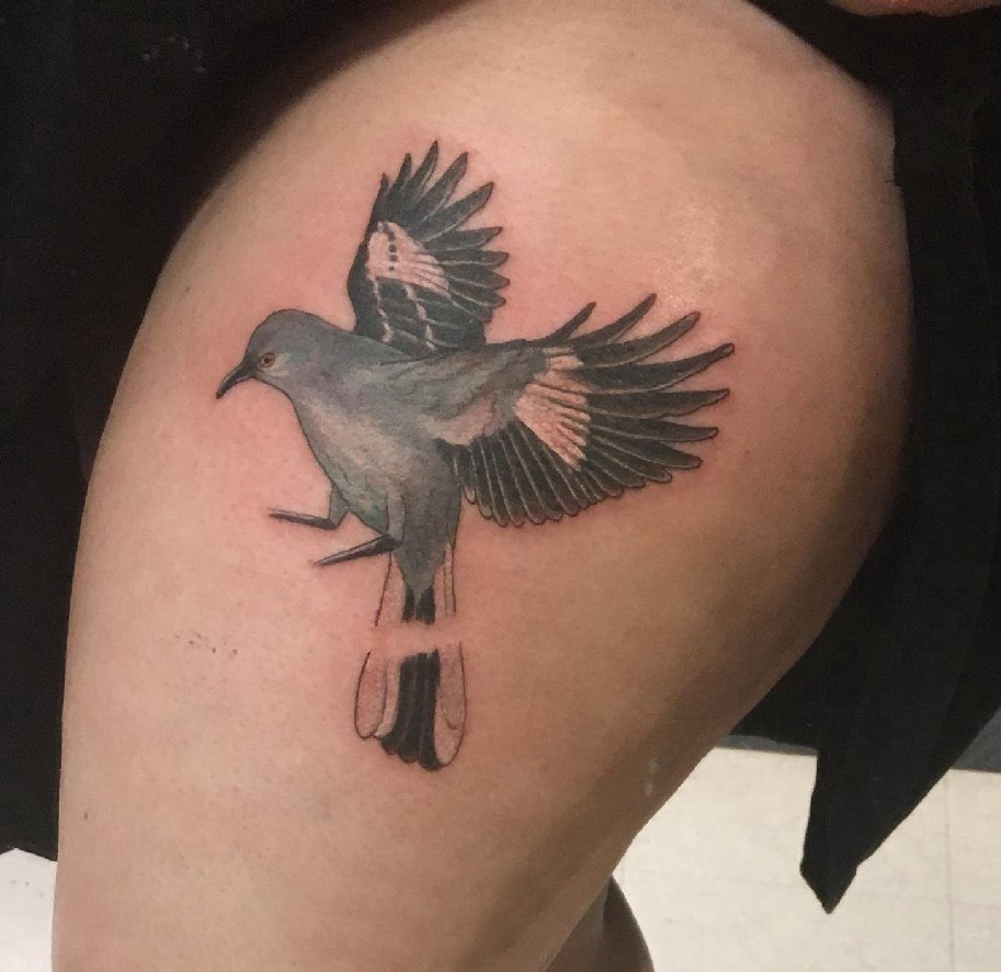 点击大图看下一张：大腿纹身传统 女生大腿上黑色的鸟纹身图片