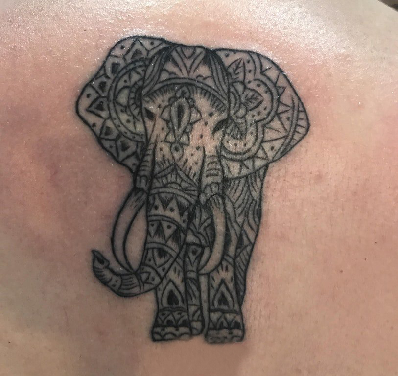 点击大图看下一张：百乐动物纹身 男生后背上黑色的大象纹身图片