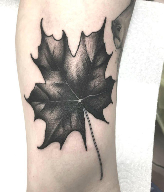 点击大图看下一张：枫叶纹身图 男生手臂上黑色的枫叶纹身图片
