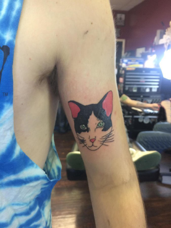 点击大图看下一张：手臂纹身素材 男生手臂上彩色的猫咪纹身图片