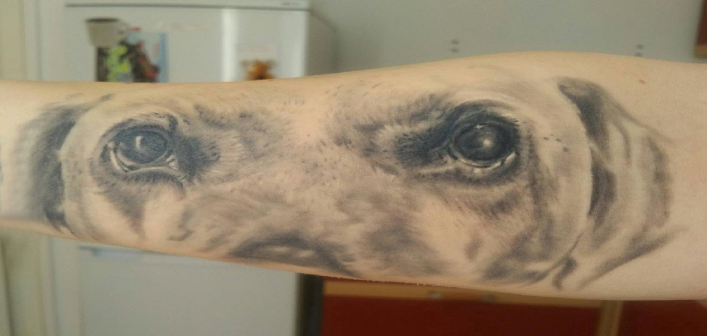 点击大图看下一张：手臂纹身素材 男生手臂上黑灰的小狗纹身图片