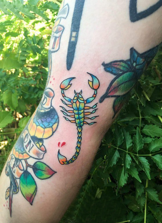 点击大图看下一张：百乐动物纹身 男生手臂上彩色的蝎子纹身图片