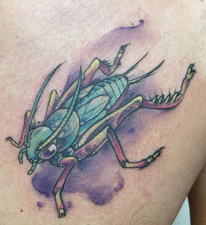 点击大图看下一张：百乐动物纹身 男生胸部彩色的蟋蟀纹身图片